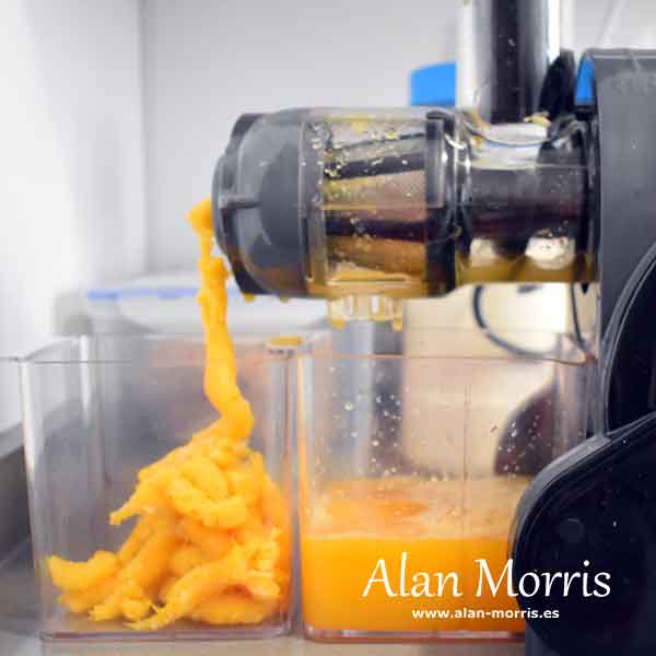 Orange juicer