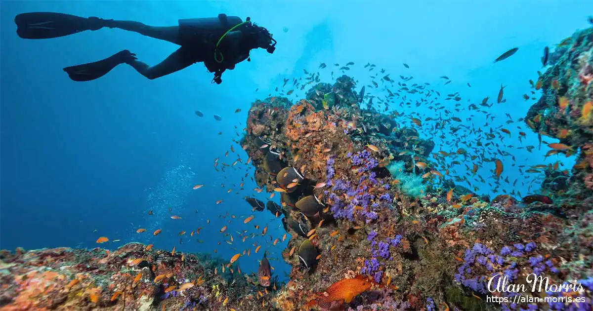 Great Barrier Reef, Australia.