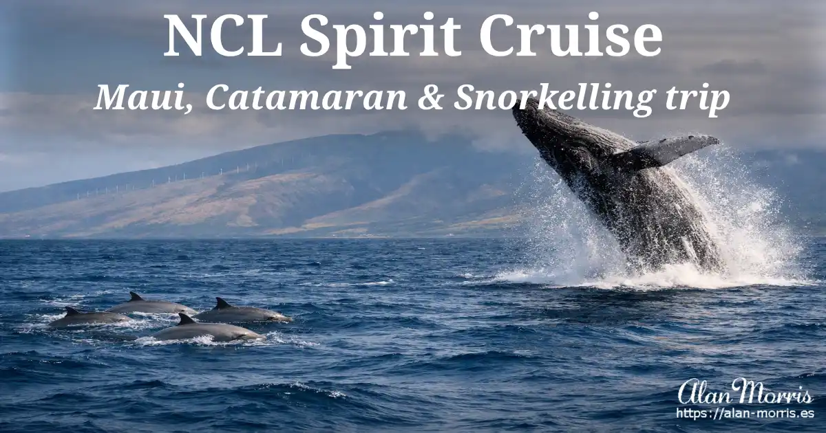 Humpback whale breaching beside a pod of dolphins off Maui
