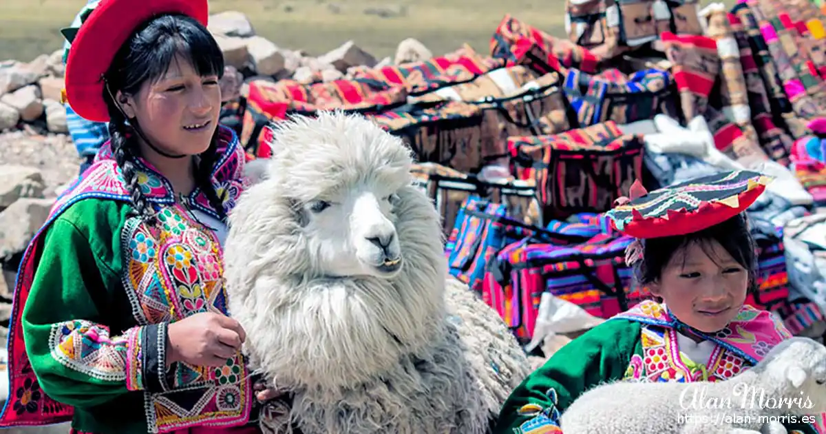 Peruvian girls with a Llama at a roadside market.