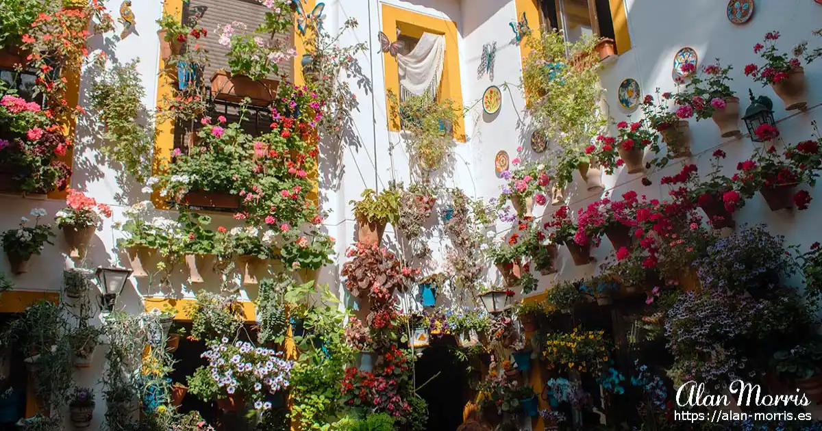 Flowers decorating a patio in Cordoba.