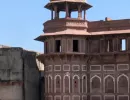 agrafort6