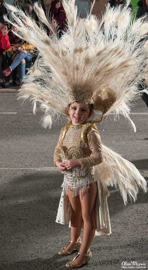 Young girl dressed up in her Carnival costume.