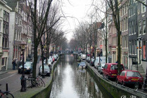 A narrow tree-lined canal in Amsterdam.