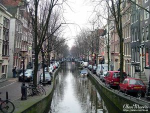 A narrow tree-lined canal in Amsterdam.