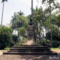 rio botanical06 rio botanical06