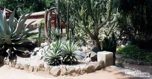 rio botanical08 rio botanical08