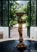 rio botanical12 rio botanical12