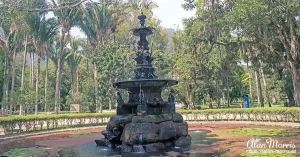 rio botanical13 rio botanical13