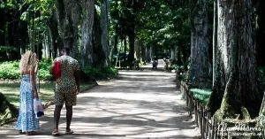 rio botanical17 rio botanical17