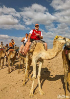 Alan Morris and Lisa Biles, on the camels they rode through the desert. Alan Morris and Lisa Biles, on the camels they rode through the desert.