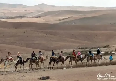 Camel Ride Photos.