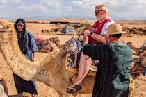 Alan Morris, on a camel in the desert, as it starts, to get up.