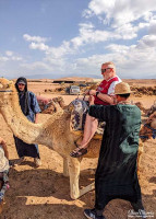 Alan Morris, on a camel in the desert, as it starts, to get up. Alan Morris, on a camel in the desert, as it starts, to get up.