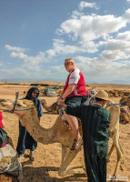 Alan Morris, on a camel in the desert, as it gets up. Alan Morris, on a camel in the desert, as it gets up.