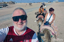 Alan Morris and Lisa Biles, on the camels they rode through the desert.