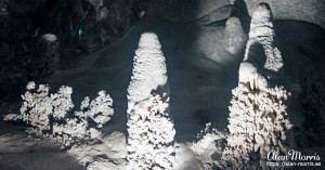 Stalagmites, some forming large phallic symbols, while others forming shapes like trees. Stalagmites, some forming large phallic symbols, while others forming shapes like trees.