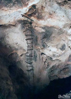 Ladder left behind by early explorers in Carlsbad Caverns. Ladder left behind by early explorers in Carlsbad Caverns.