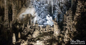 Stalactites and stalagmites in Carlsbad Caverns in the Carlsbad Caverns National Park. Stalactites and stalagmites in Carlsbad Caverns in the Carlsbad Caverns National Park.