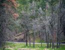 A small river that runs through Custer State Park.