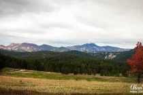 custer