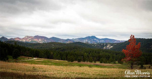 Custer State Park, South Dakota.