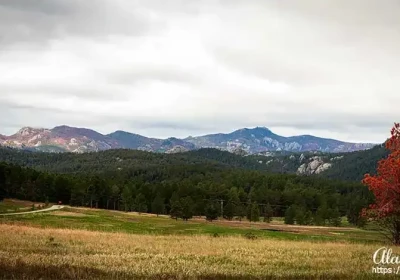 Custer State Park Photos.