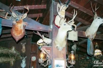 deadwood12