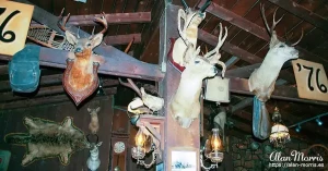 deadwood12