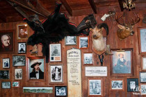 Memorabilia, bear skins & stuffed animals decorate the inside of Saloon No. 10.
