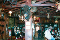 Memorabilia & stuffed animals decorate the inside of Saloon No. 10.
