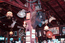 Memorabilia & stuffed animals decorate the inside of Saloon No. 10.