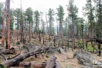 devils tower11