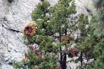 devils tower13