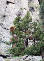devils tower13