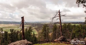 devils tower8