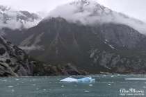 A large piece of blue ice from Dawes Glacier floats down the Endicott Arm