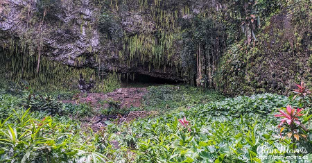 Fern Grotto, Wailua River.