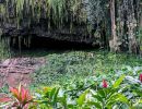 Cave at Fern Grotto 