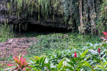 Cave at Fern Grotto 