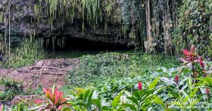 Cave at Fern Grotto 