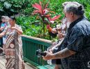 Music and dancing show in front of Fern Grotto