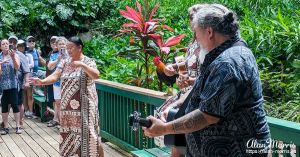 Music and dancing show in front of Fern Grotto