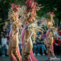 Performers in the Spring Festival parade in Murcia, 2023. Performers in the Spring Festival parade in Murcia, 2023.
