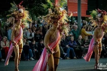 spring festival11