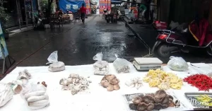 foodmarket11