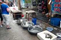foodmarket12