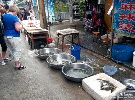 Live fish for sale in the food market in Beijing. Live fish for sale in the food market in Beijing.