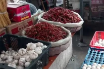 foodmarket15