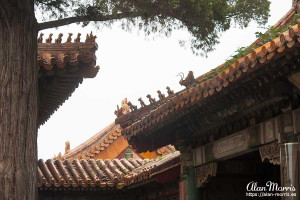 Mythical creatures on a corner of a roof in the Forbidden City. Mythical creatures on a corner of a roof in the Forbidden City.